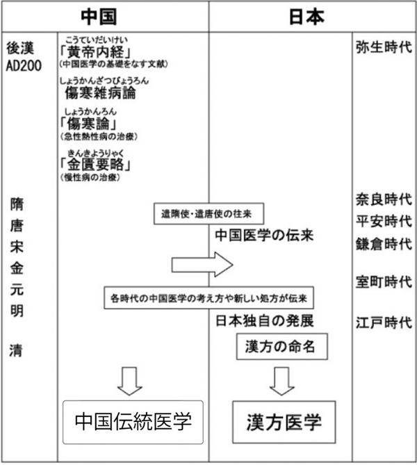 はいはい とう せい どう